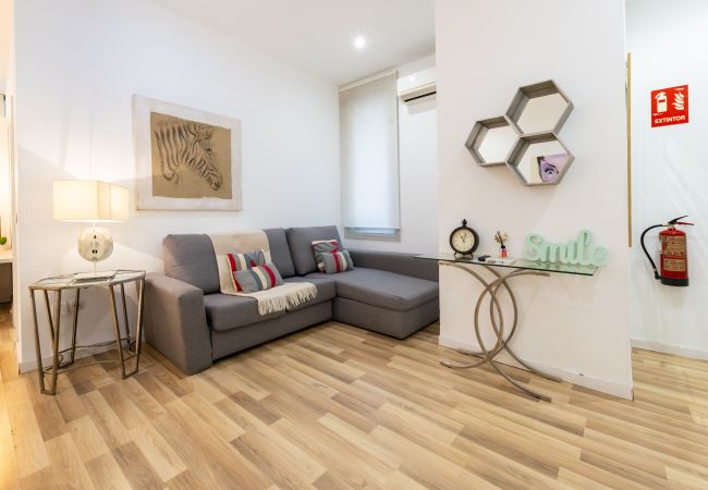 Apartamento en Madrid - M (PRE102A) Apto. de diseño Puerta del Sol 4 Apartamento en Madrid - M (PRE102A) Apto. de diseño Puerta del Sol 4