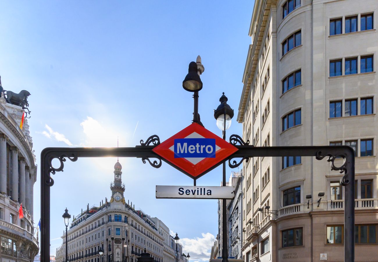 Apartamento en Madrid - M (DLM73) Downtown Madrid centro Cibeles