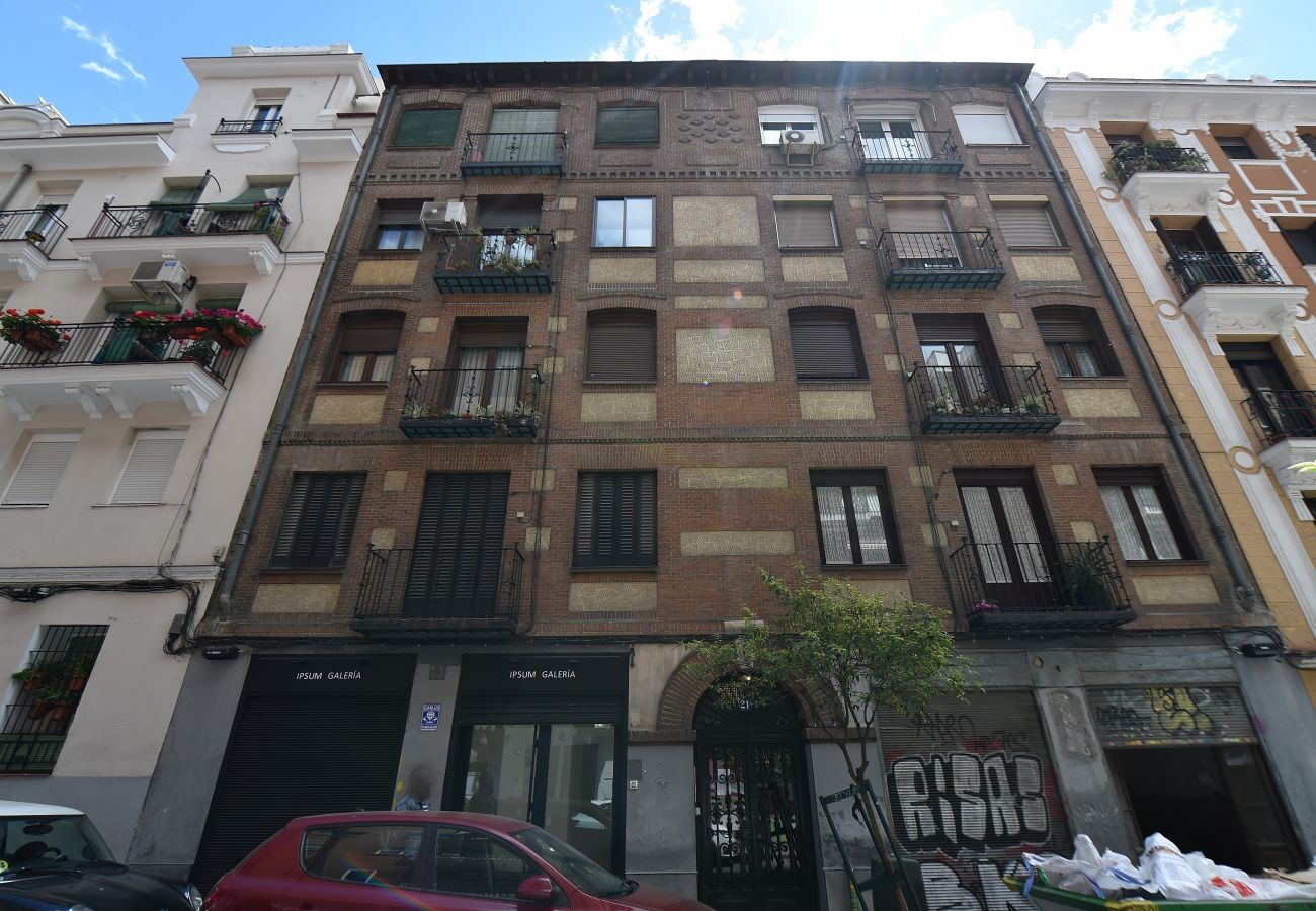 Apartamento en Madrid - Ático MADRID Downtown Museo Reina Sofía-Atocha (DF21)