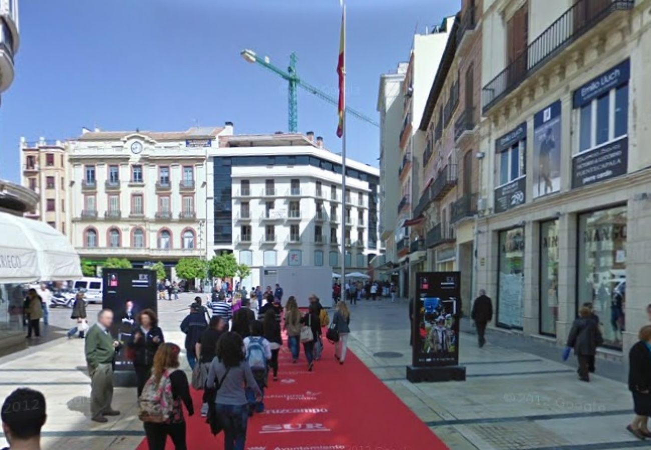 Estudio en Málaga - Plaza de la Constitución V