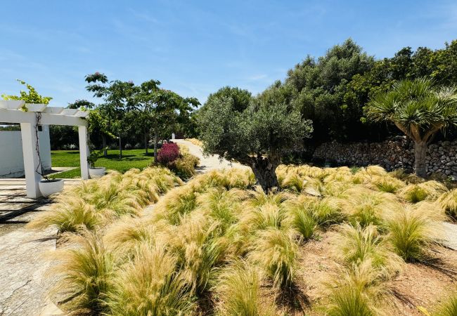 Casa en San Luis - Casa SABARRACA Casa en San Luis - Casa SABARRACA