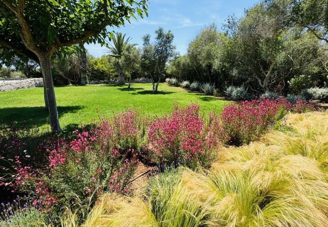 Casa en San Luis - Casa SABARRACA Casa en San Luis - Casa SABARRACA
