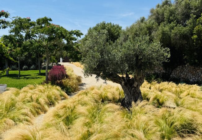 Casa en San Luis - Casa SABARRACA Casa en San Luis - Casa SABARRACA