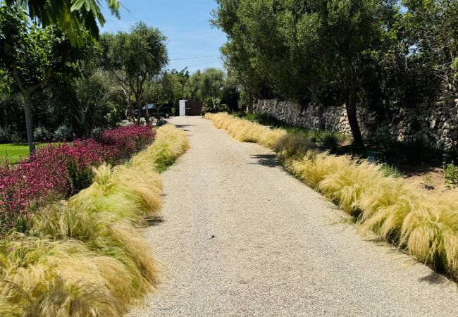 Casa en San Luis - Casa SABARRACA Casa en San Luis - Casa SABARRACA