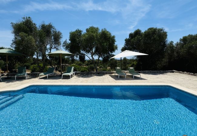 Casa en San Luis - Casa SABARRACA Casa en San Luis - Casa SABARRACA