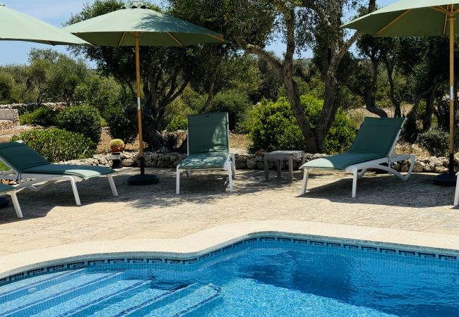 Casa en San Luis - Casa SABARRACA Casa en San Luis - Casa SABARRACA