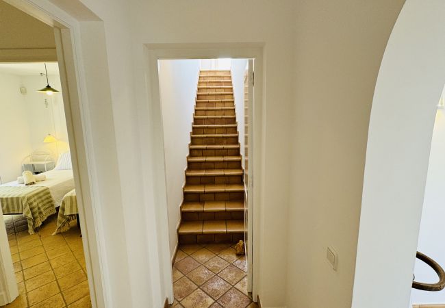 Casa en San Luis - Casa SABARRACA Casa en San Luis - Casa SABARRACA