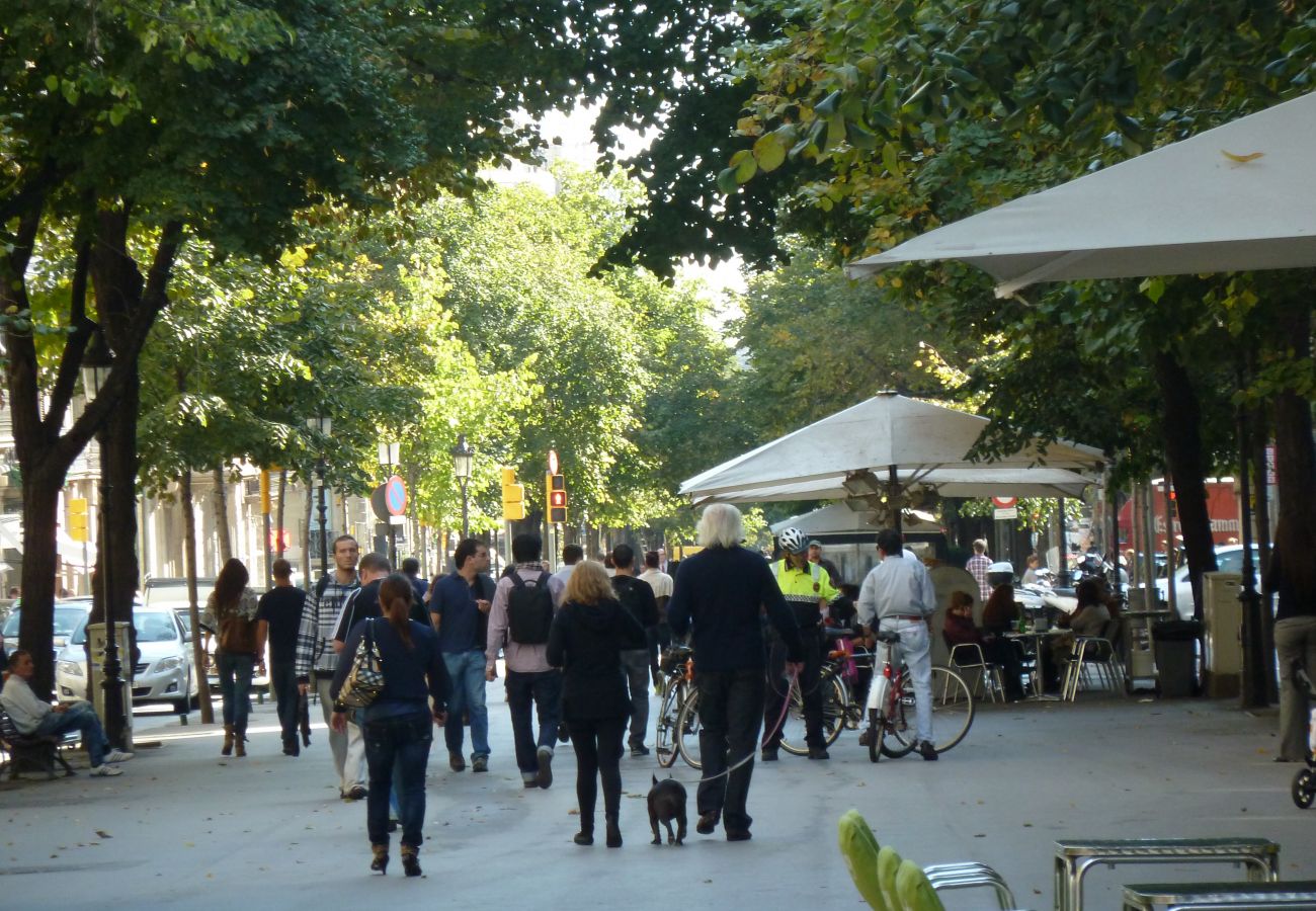 Apartamento en Barcelona - PLAZA ESPAÑA, piso en alquiler 3 dormitorios renovado en Barcelona centro.