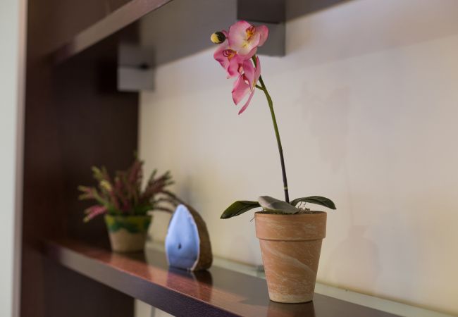 Apartamento en Barcelona - MARQUES, modern 4bed/2bath apartment Apartamento en Barcelona - MARQUES, modern 4bed/2bath apartment