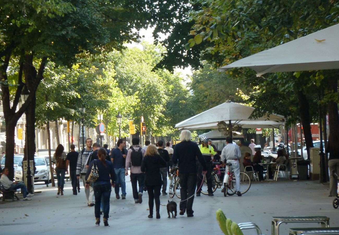 Apartamento en Barcelona - GRACIA DREAM, stylish, cozy, central