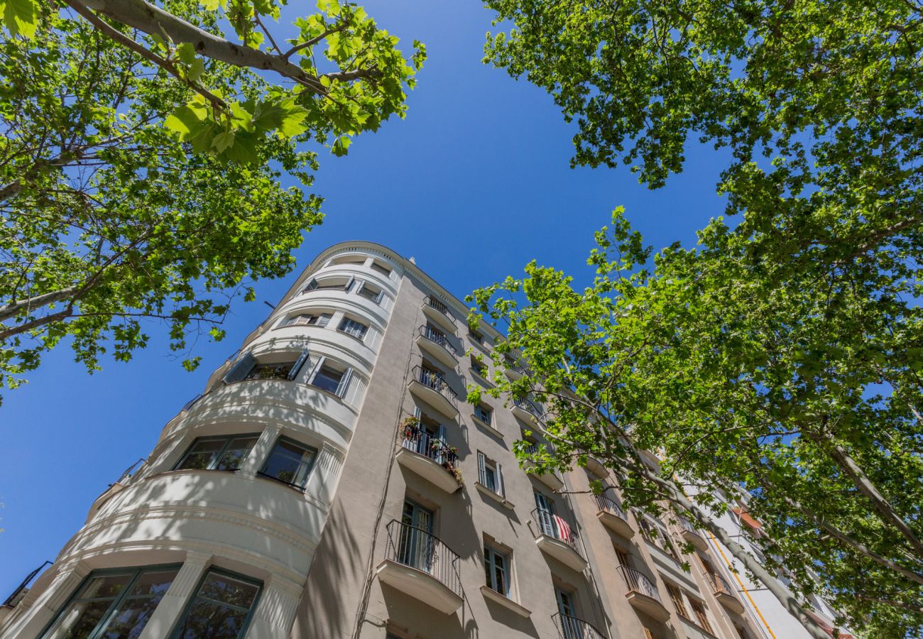 Apartamento en Barcelona - ATIC CIUTADELLA PARK en alquiler vacacional en Barcelona, muy luminoso, terraza compartida.