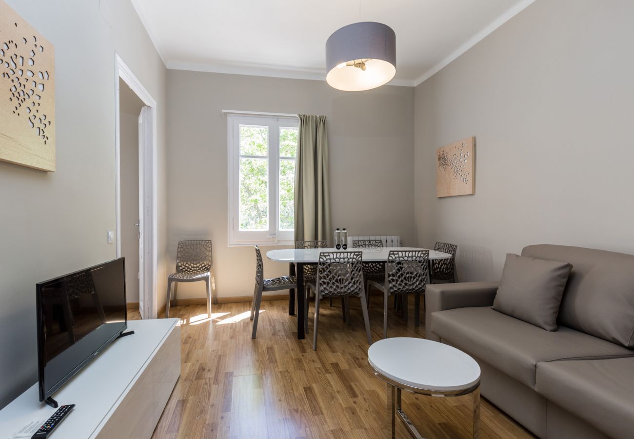 Apartamento en Barcelona - Family CIUTADELLA PARK, piso turístico grande ideal para familias en Barcelona centro