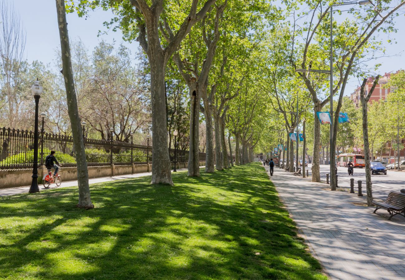 Apartamento en Barcelona - Family CIUTADELLA PARK, grande, luminoso, terraza compartida, Barcelona centro