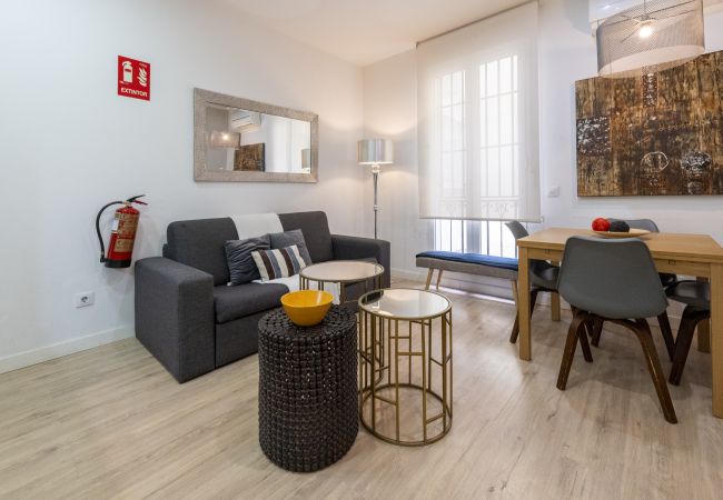 Apartamento en Madrid - M (PRE103B) Moderno diseño Madrid centro Sol 8 Apartamento en Madrid - M (PRE103B) Moderno diseño Madrid centro Sol 8