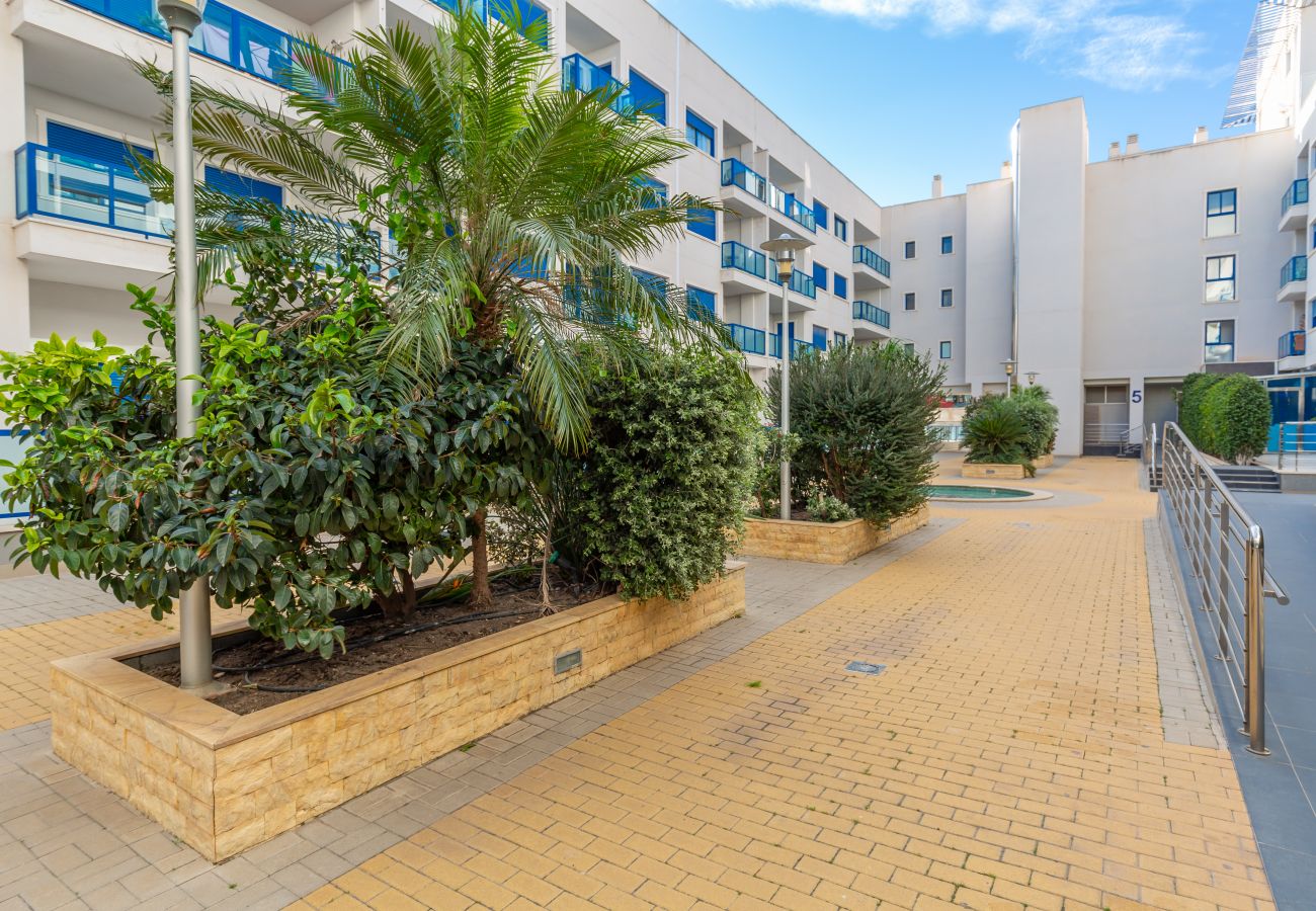 Apartamento en Alicante - Apartamento con piscina en Alicante