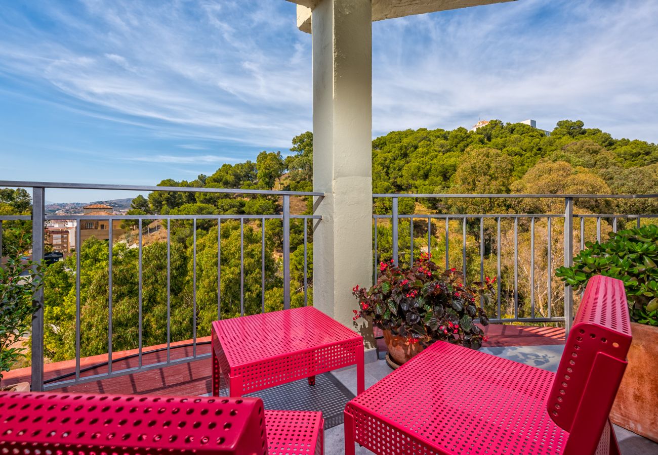 Apartamento en Málaga - iloftmalaga Calle Amargura