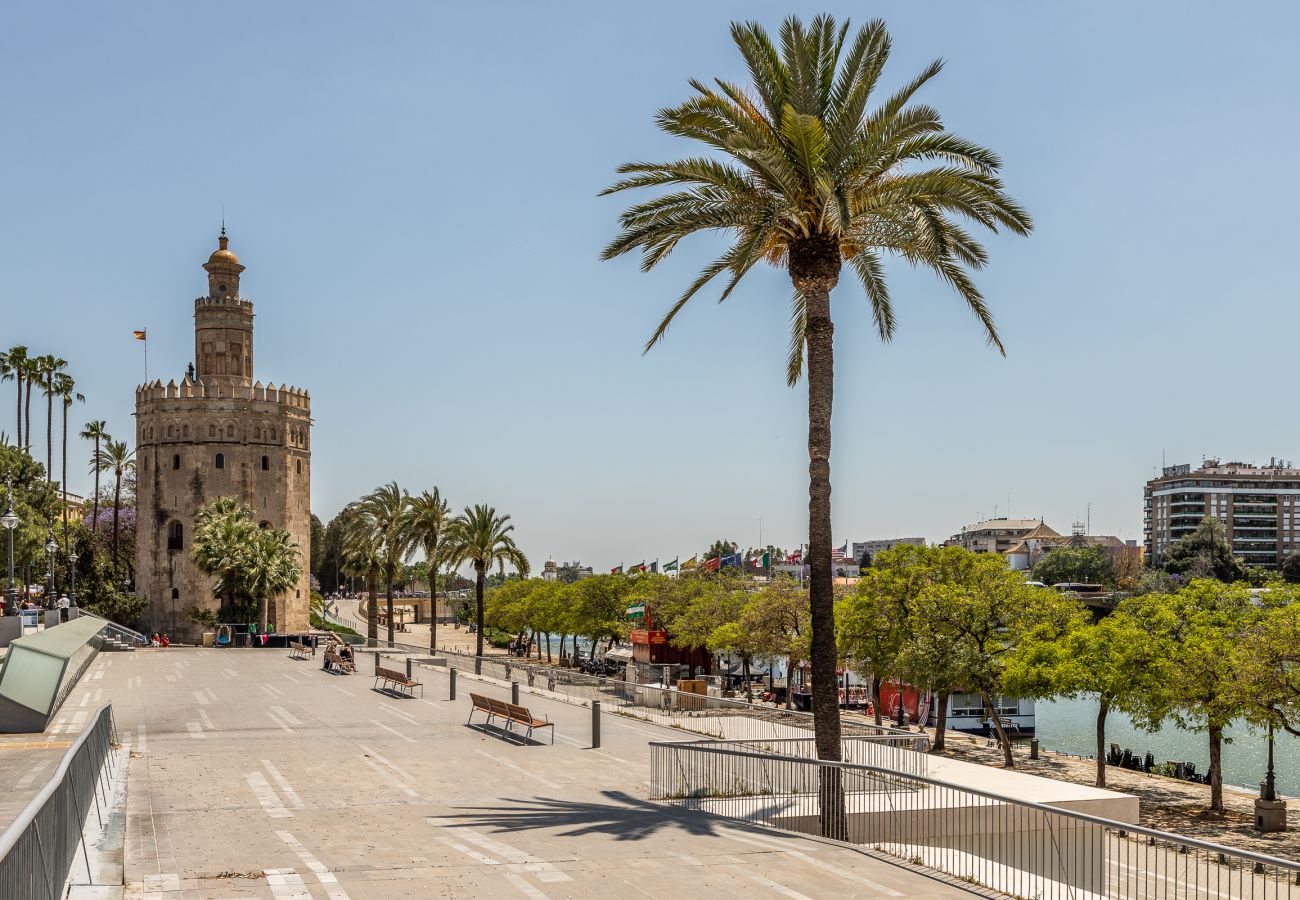 Estudio en Sevilla - Estudio para 3 personas en Sevilla