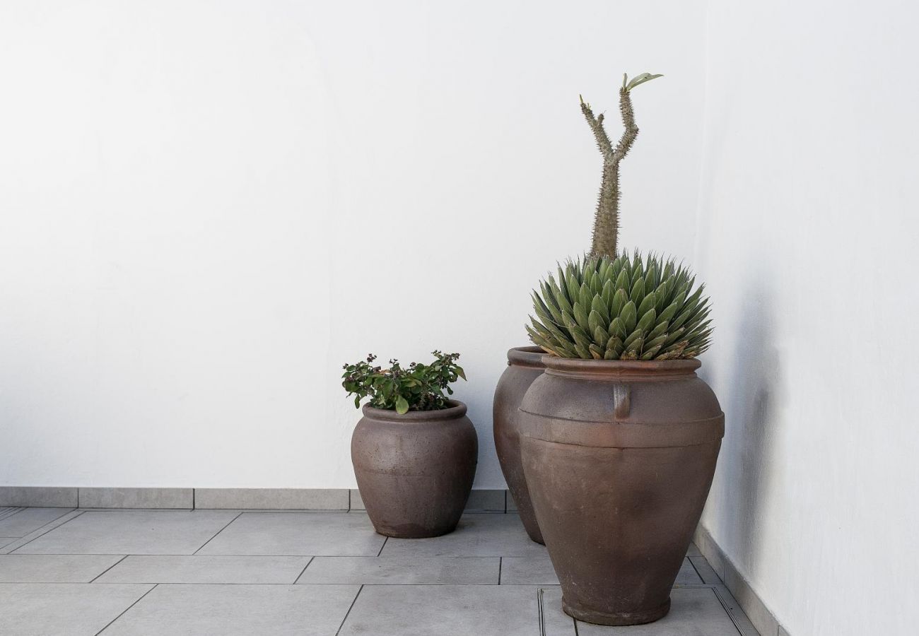 Estudio en Telde - Edem IV