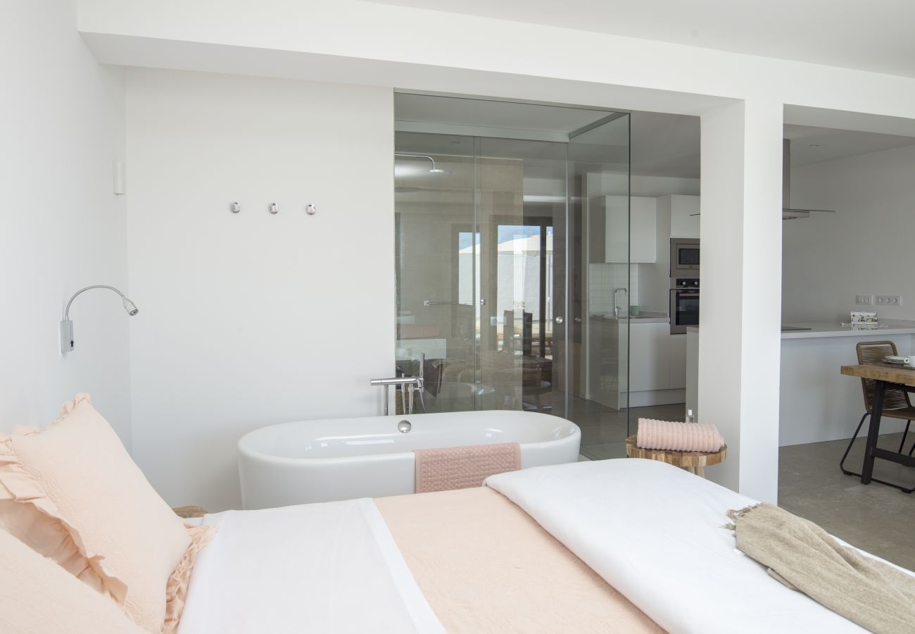 Estudio en Telde - Edem IV