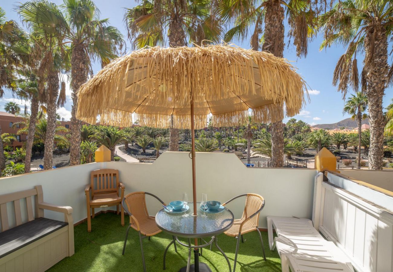 Apartamento en Corralejo - Oasis Royal 13 apartamento vista piscina Corralejo by Lightbooking