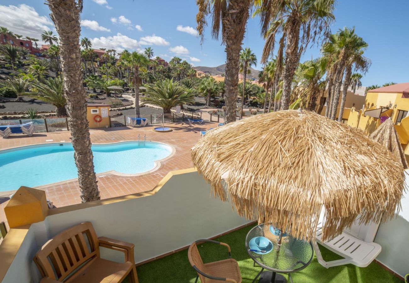 Apartamento en Corralejo - Oasis Royal 13 apartamento vista piscina Corralejo by Lightbooking