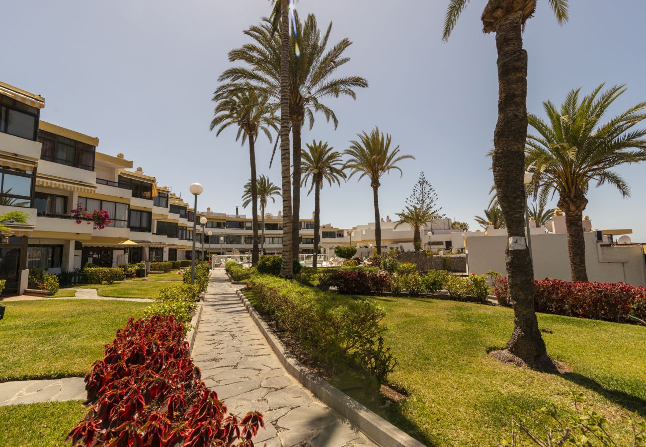 Apartamento en Playa del Ingles - Apartamento San Agustin piscina y terraza by Lightbooking