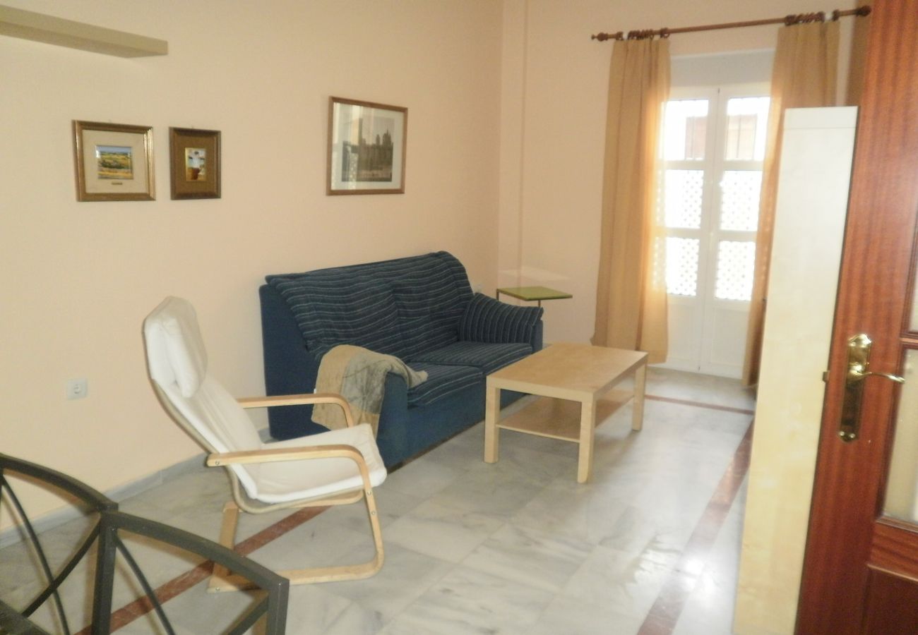 Apartamento en San Fernando - Centrico dos dormitorios wifi by Lightbooking