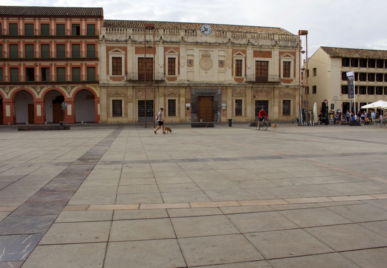 Apartamento en Córdoba - Cordoba Plaza la Corredera 21 A1