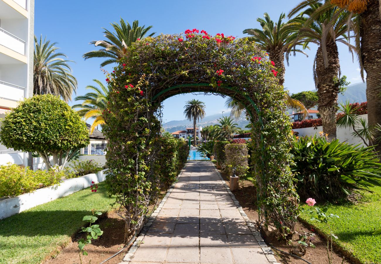 Estudio en Puerto de la Cruz - Deluxe estudio piscina terraza y aire  by Lightbooking