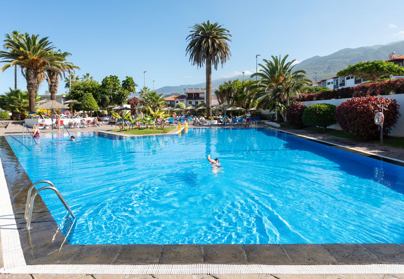 Estudio en Puerto de la Cruz - Deluxe estudio piscina terraza y aire  by Lightbooking