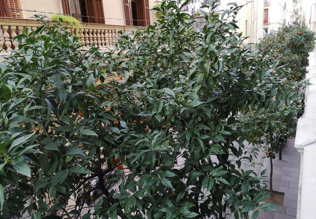 Apartamento en Barcelona - GRACIA boho chic, balcony, trees Apartamento en Barcelona - GRACIA boho chic, balcony, trees