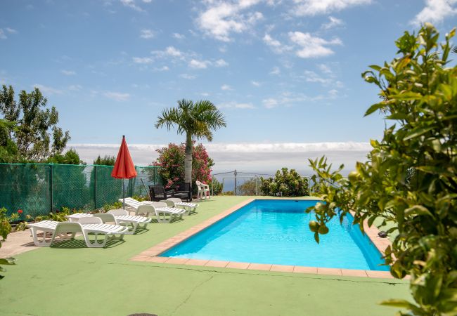 Apartamento en Villa de Mazo - Apartamento Luymar con vista al mar y piscina La Palma