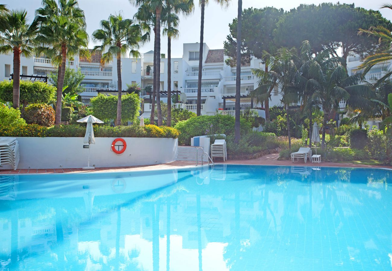 Apartamento con piscina en alquiler white pearl beach