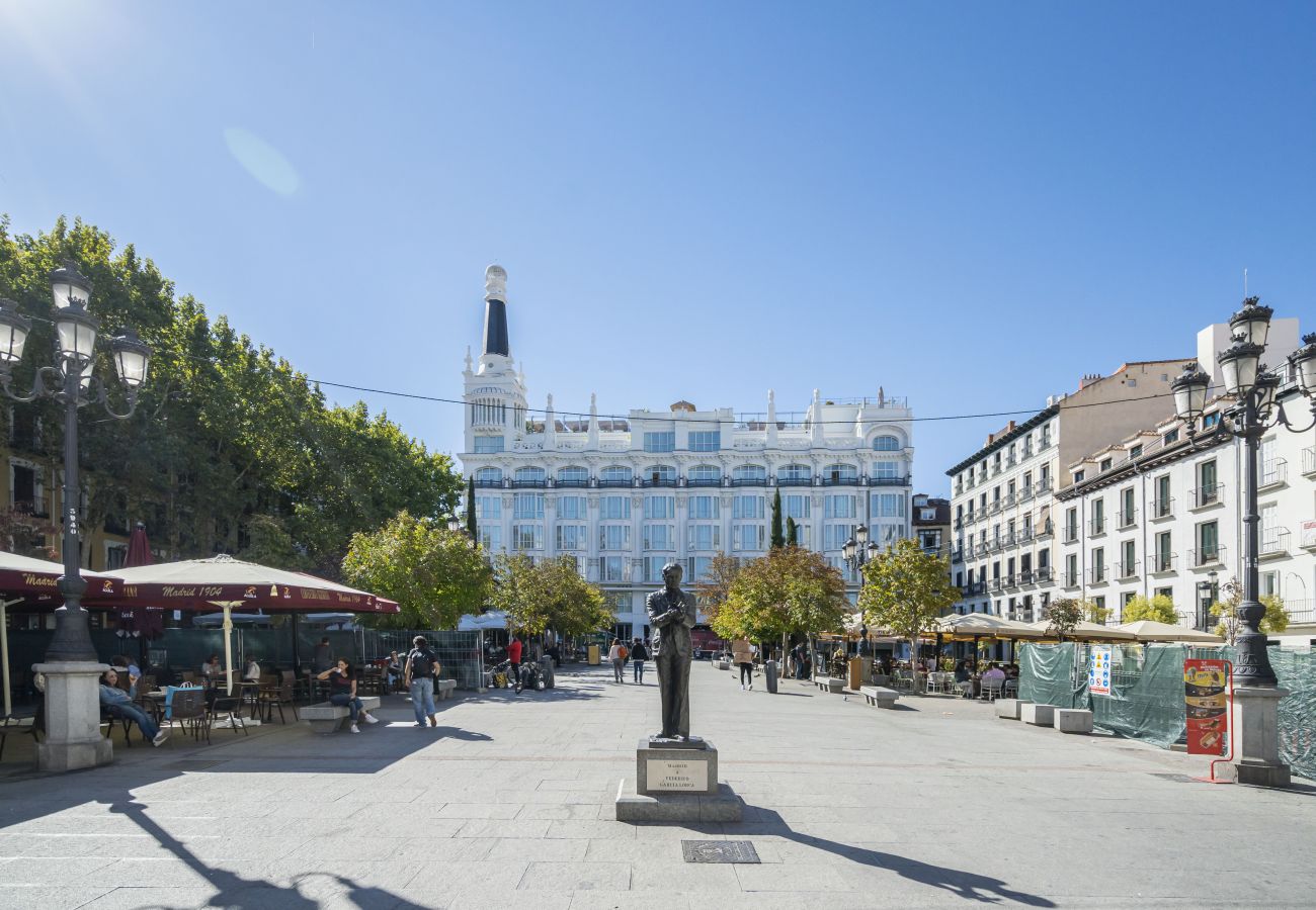 Apartamento en Madrid - Apartment Madrid Center Private Rooftop M (ECH5)