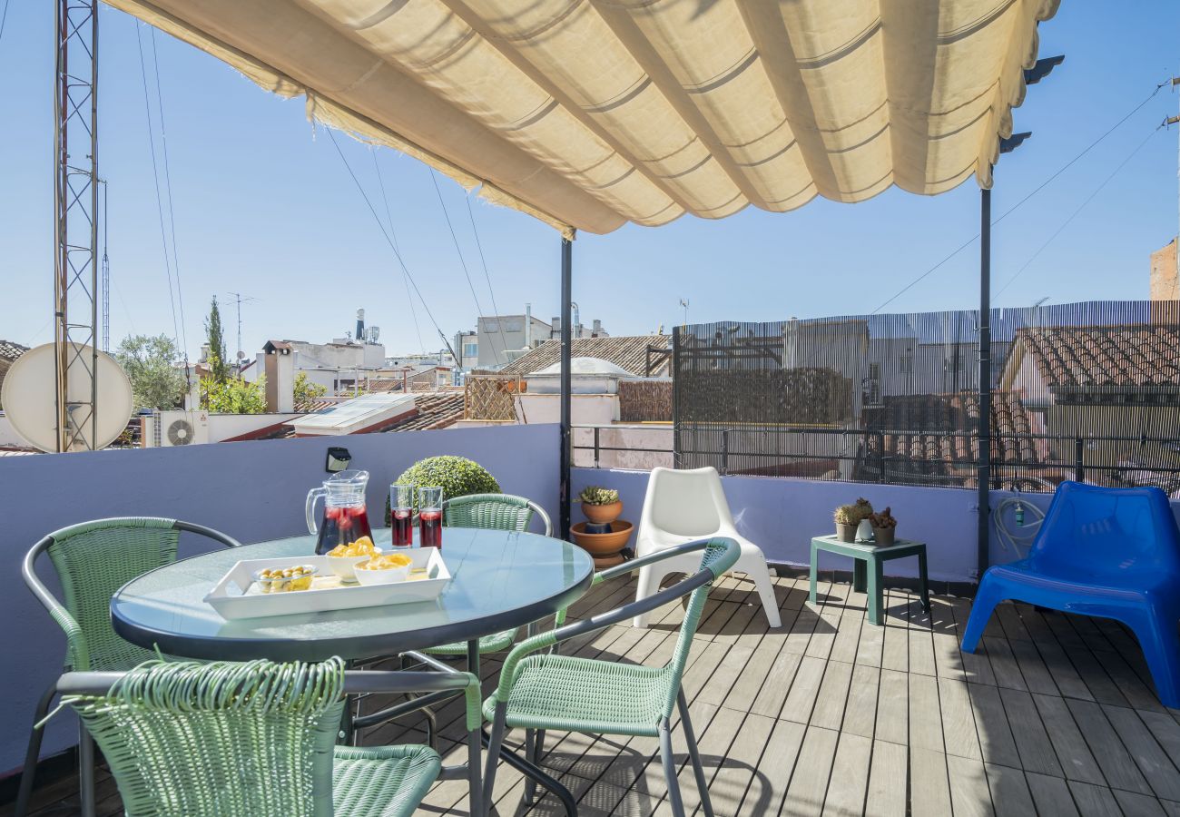 Apartamento en Madrid - Apartment Madrid Center Private Rooftop M (ECH5)