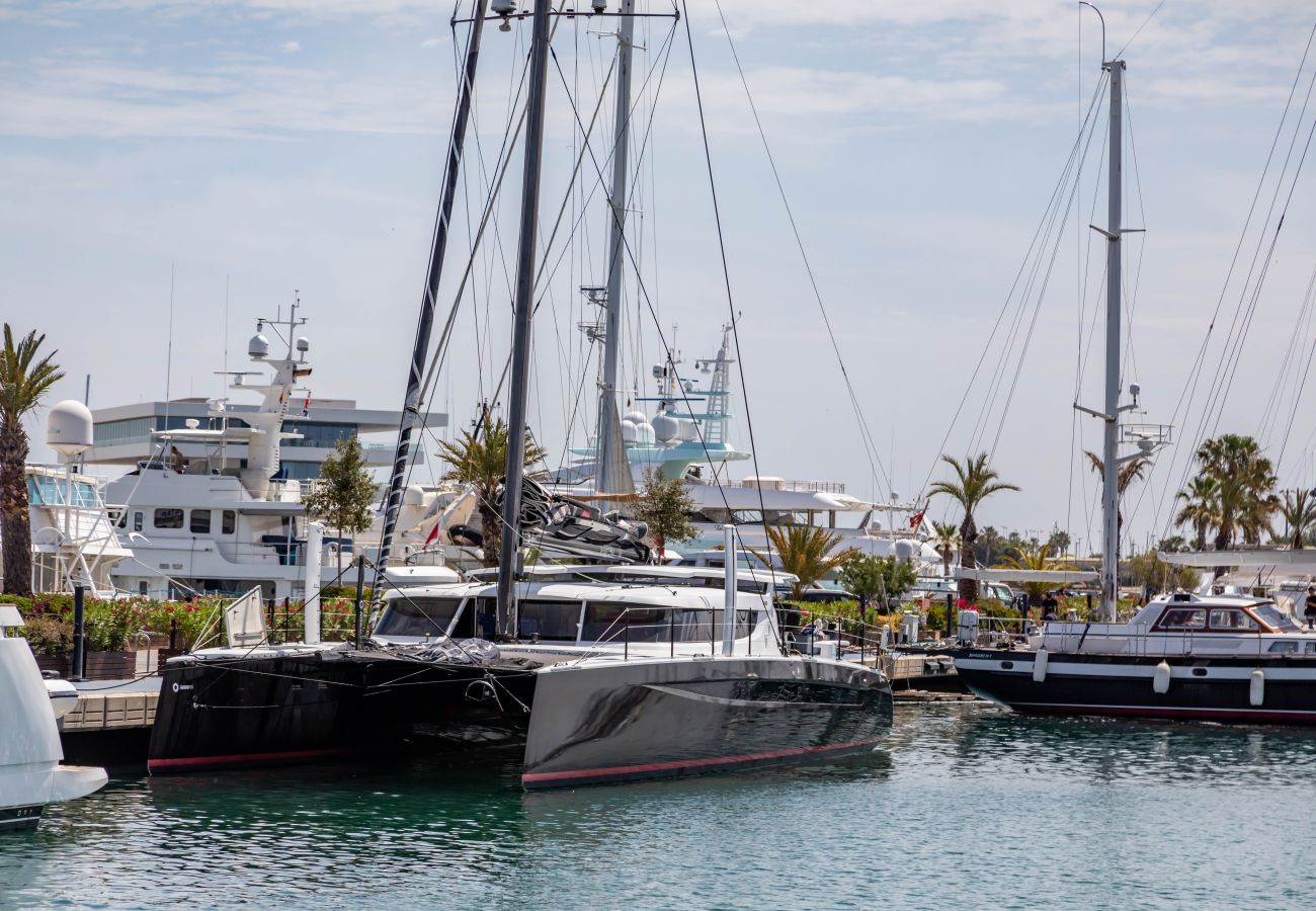 Estudio en Valencia - TH La Marina Real adaptado