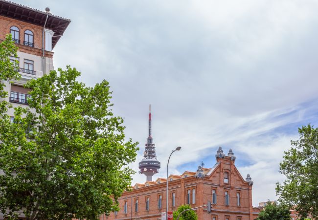 Estudio en Madrid - GOYA, ground floor studio Estudio en Madrid - GOYA, ground floor studio