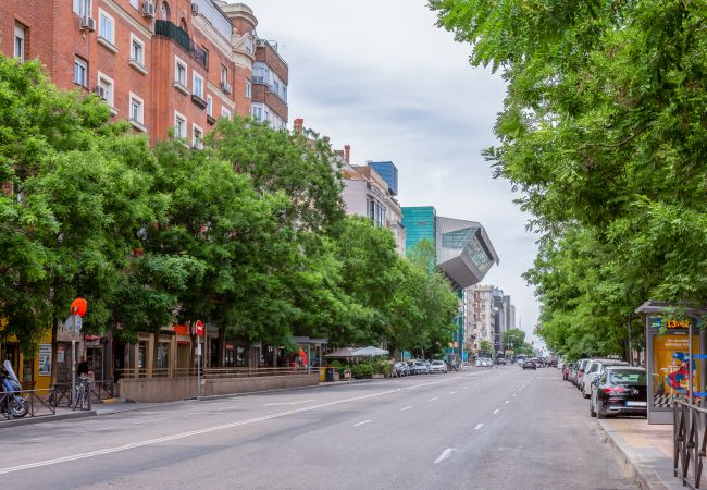 Estudio en Madrid - GOYA, ground floor studio Estudio en Madrid - GOYA, ground floor studio