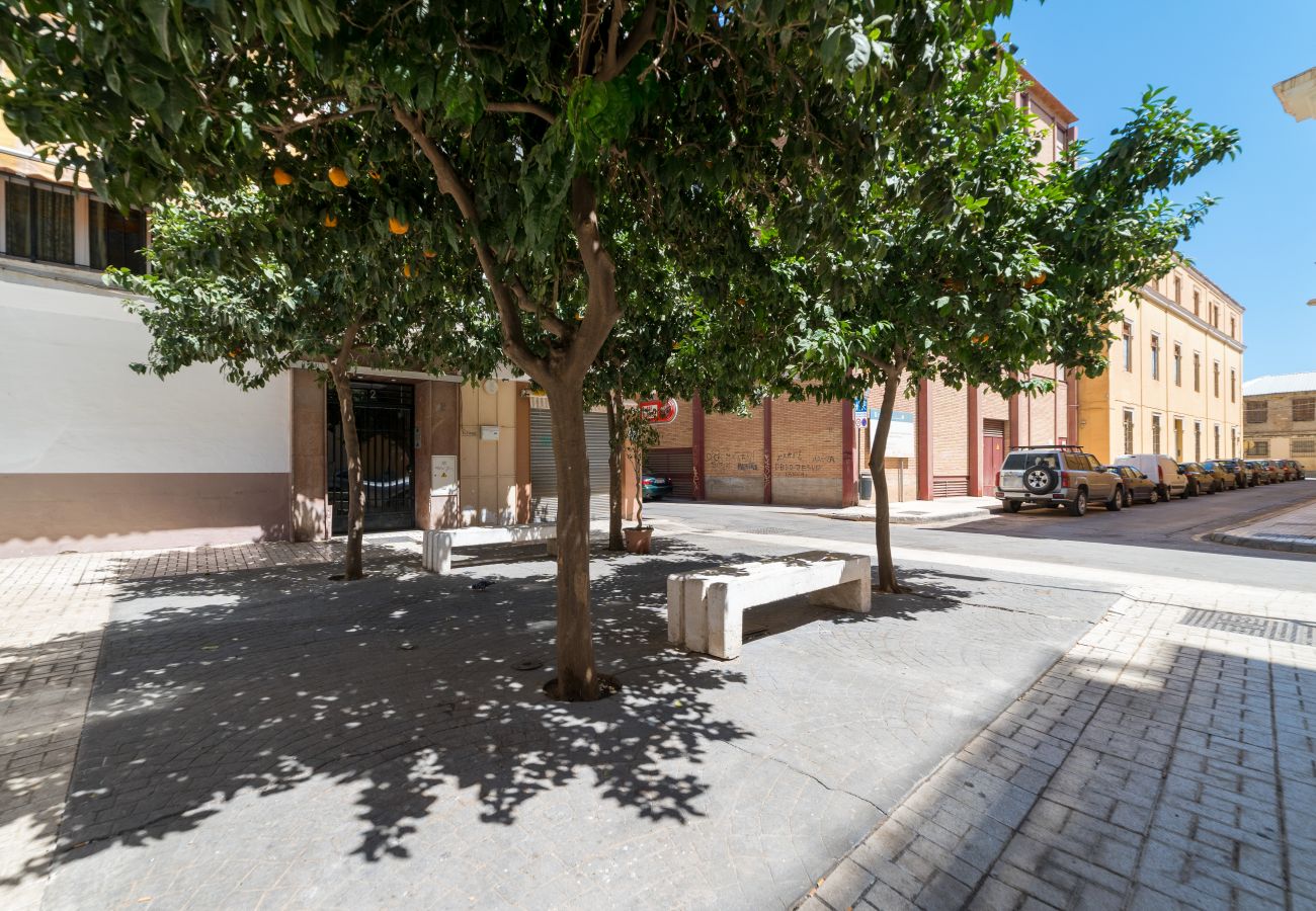 Apartamento en Málaga - iloftmalaga Mariscal