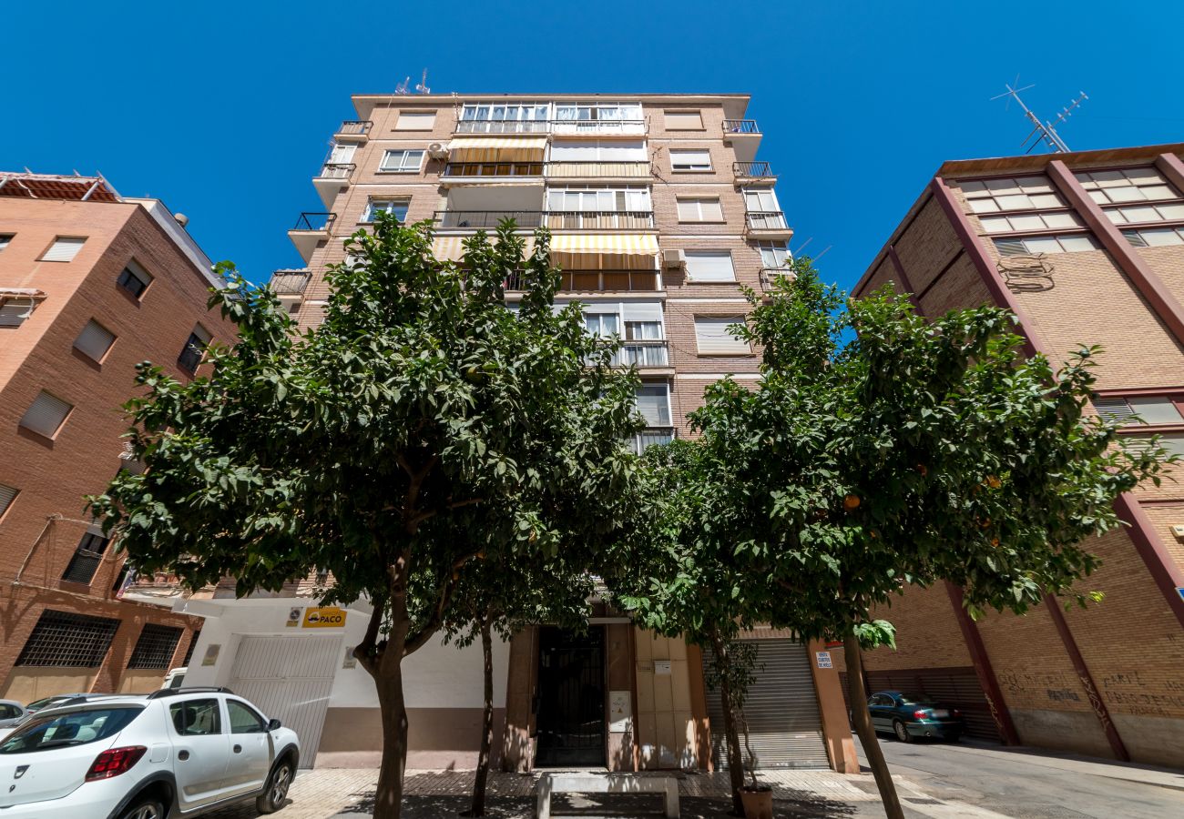 Apartamento en Málaga - iloftmalaga Mariscal