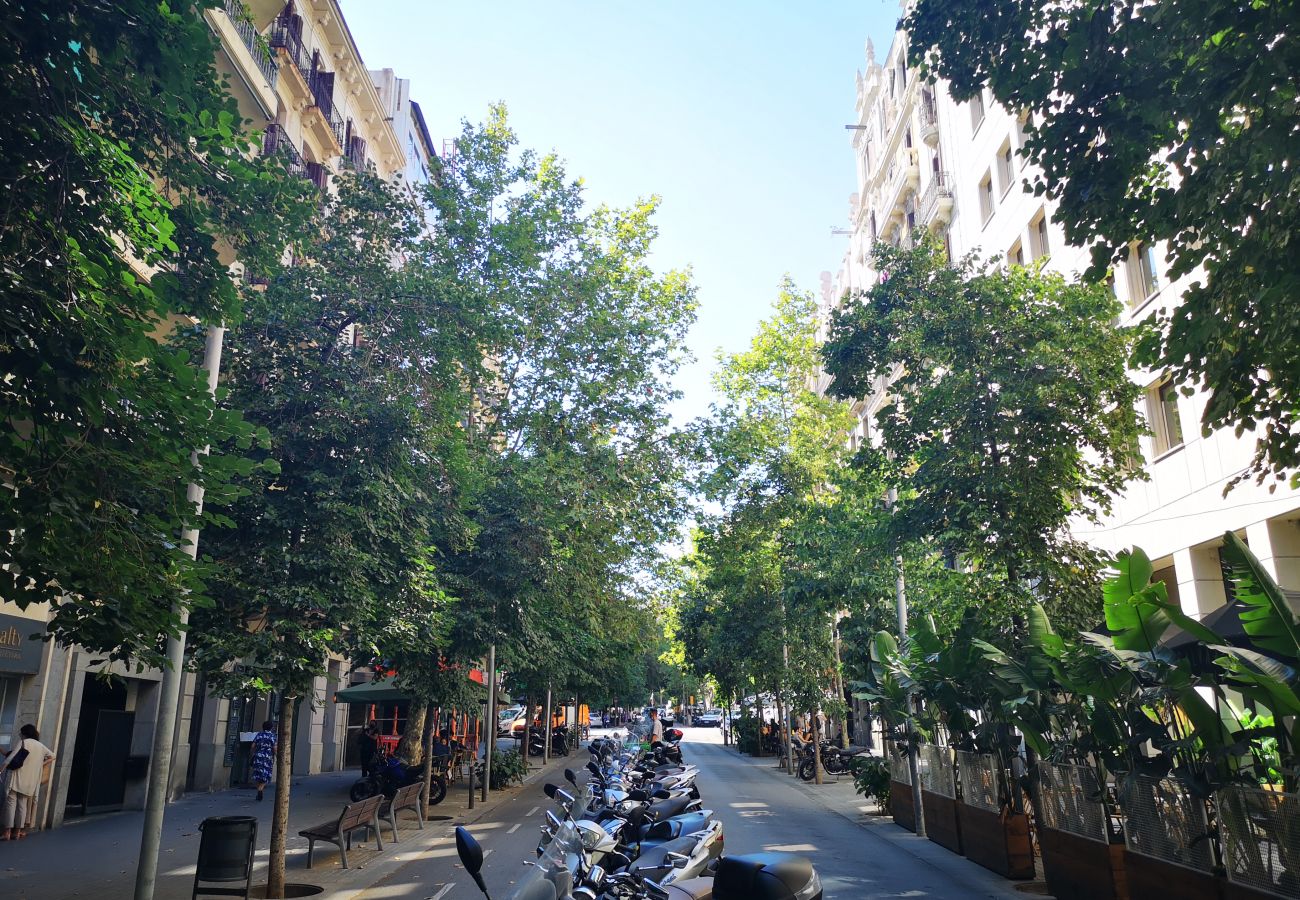 Apartamento en Barcelona - EIXAMPLE CENTER NEXT TO PASSEIG GRACIA