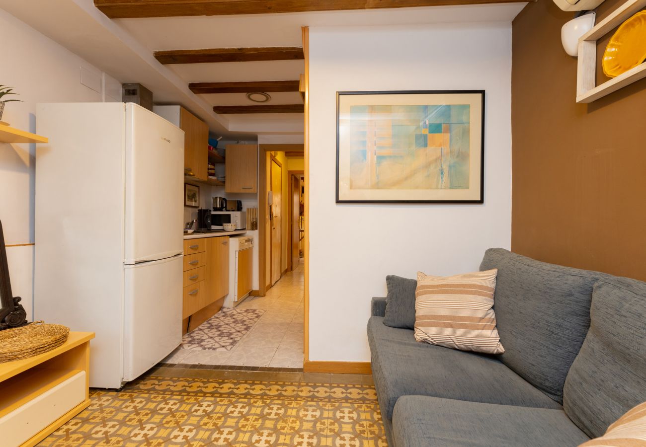 Apartamento en Barcelona - TERRAZA PRIVADA, 4 dormiorios, 2 baños