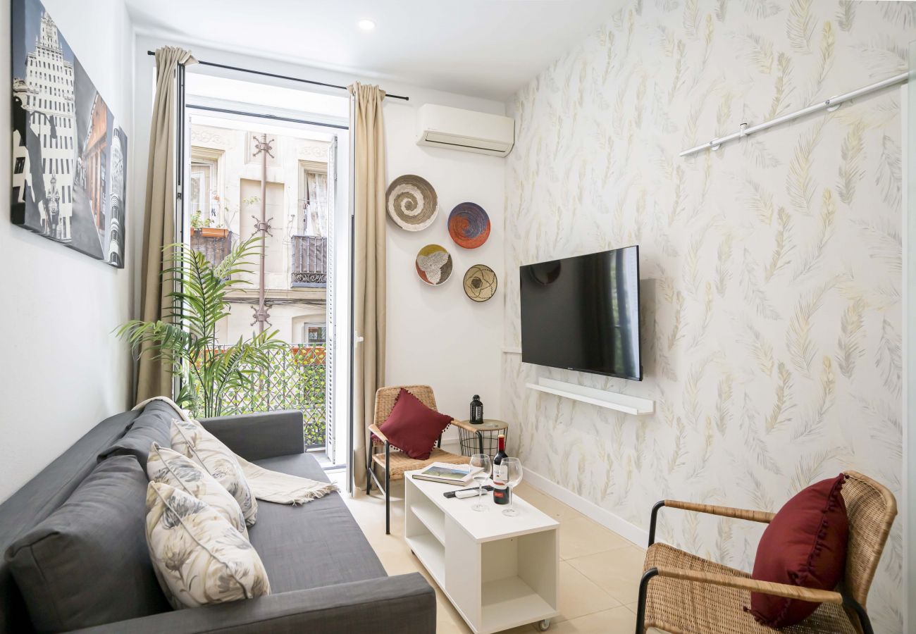 Apartamento en Madrid - Hermoso apartamento  Plaza Zerolo INF1D