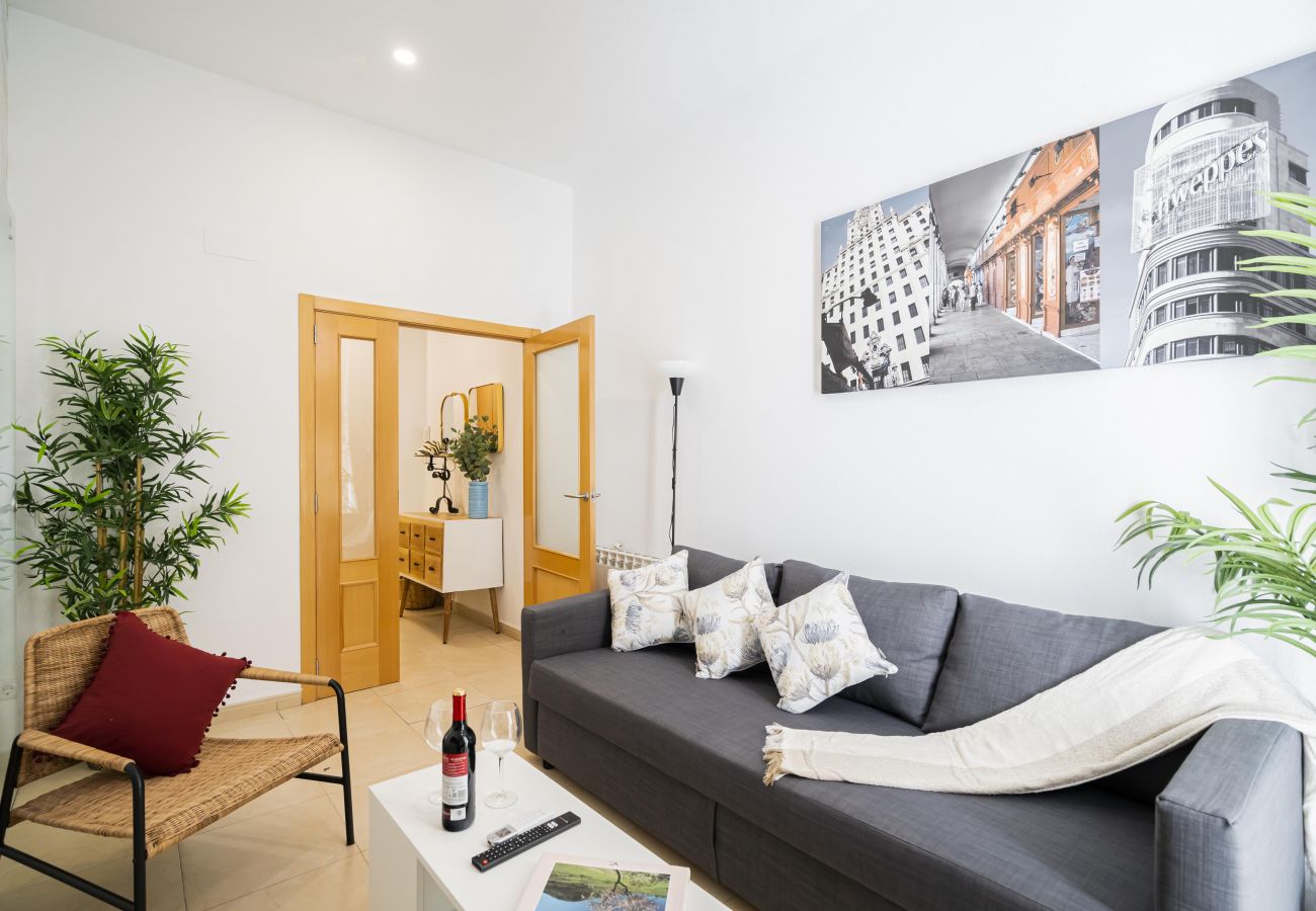 Apartamento en Madrid - Hermoso apartamento  Plaza Zerolo INF1D