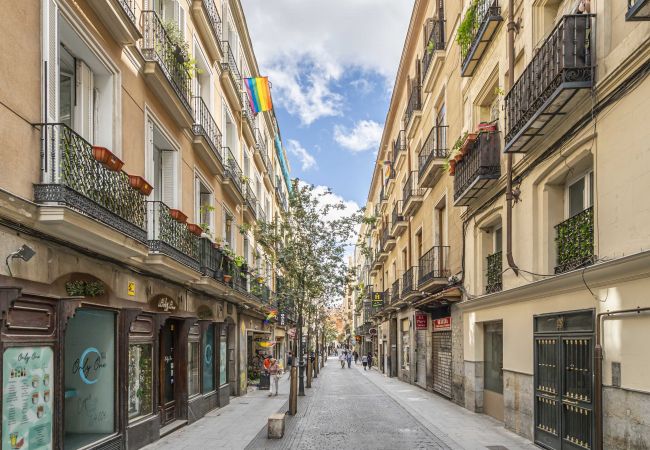 Apartamento en Madrid - M (DIN132E) Hermoso apartamento Plaza Zerolo Apartamento en Madrid - M (DIN132E) Hermoso apartamento Plaza Zerolo