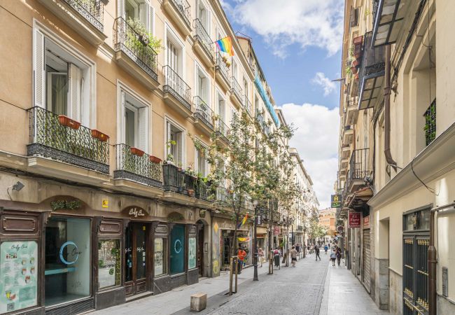 Apartamento en Madrid - M (DIN132E) Hermoso apartamento Plaza Zerolo Apartamento en Madrid - M (DIN132E) Hermoso apartamento Plaza Zerolo