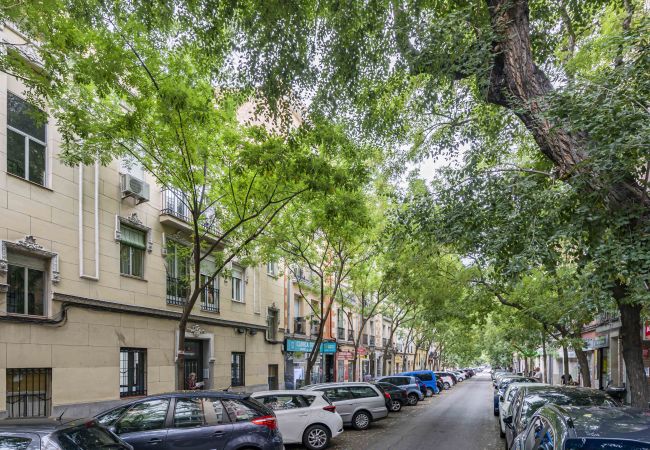 Apartamento en Madrid - M (CAC91) Apartamento Delicias Madrid Atocha 1H Apartamento en Madrid - M (CAC91) Apartamento Delicias Madrid Atocha 1H