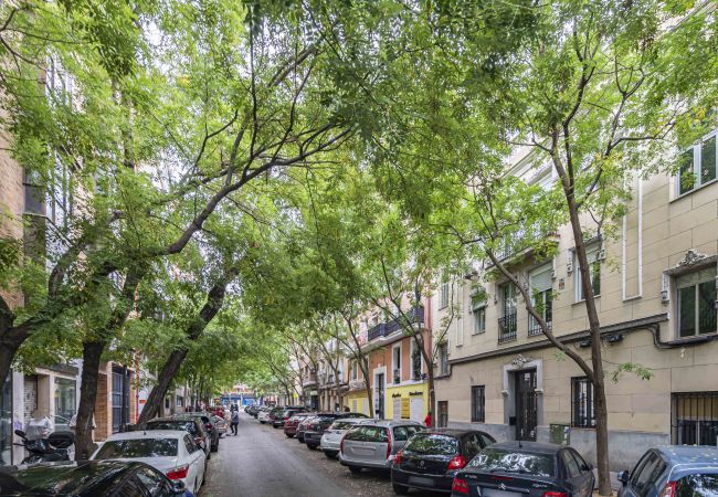 Apartamento en Madrid - M (CAC91) Apartamento Delicias Madrid Atocha 1H Apartamento en Madrid - M (CAC91) Apartamento Delicias Madrid Atocha 1H