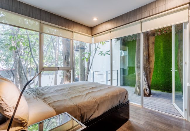 Apartamento en Ciudad de México - MX (TLC30) Apartamento Roma Sur