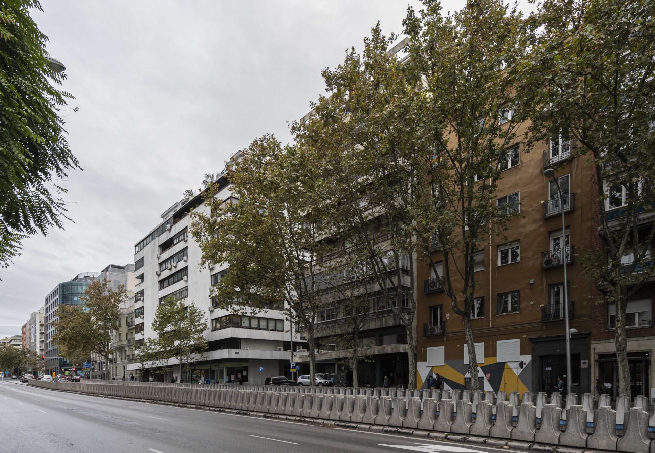 Apartamento en Madrid - Apartamento Centro Negocios Castellana M (MDM32)